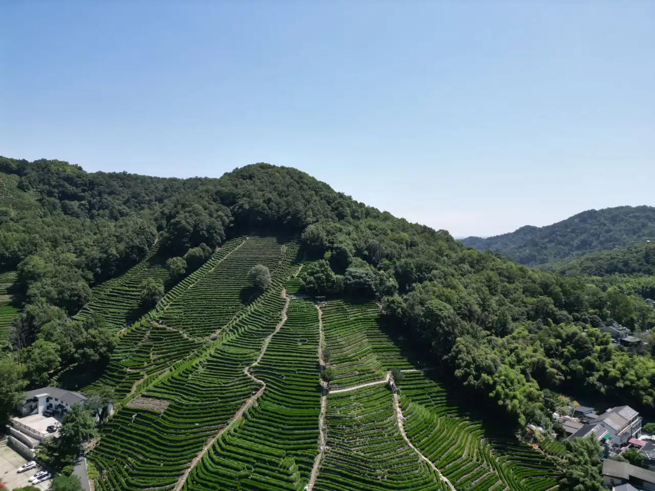 2024年上海箜篌贸易中心厨具餐具产品线升级与技术优势对比