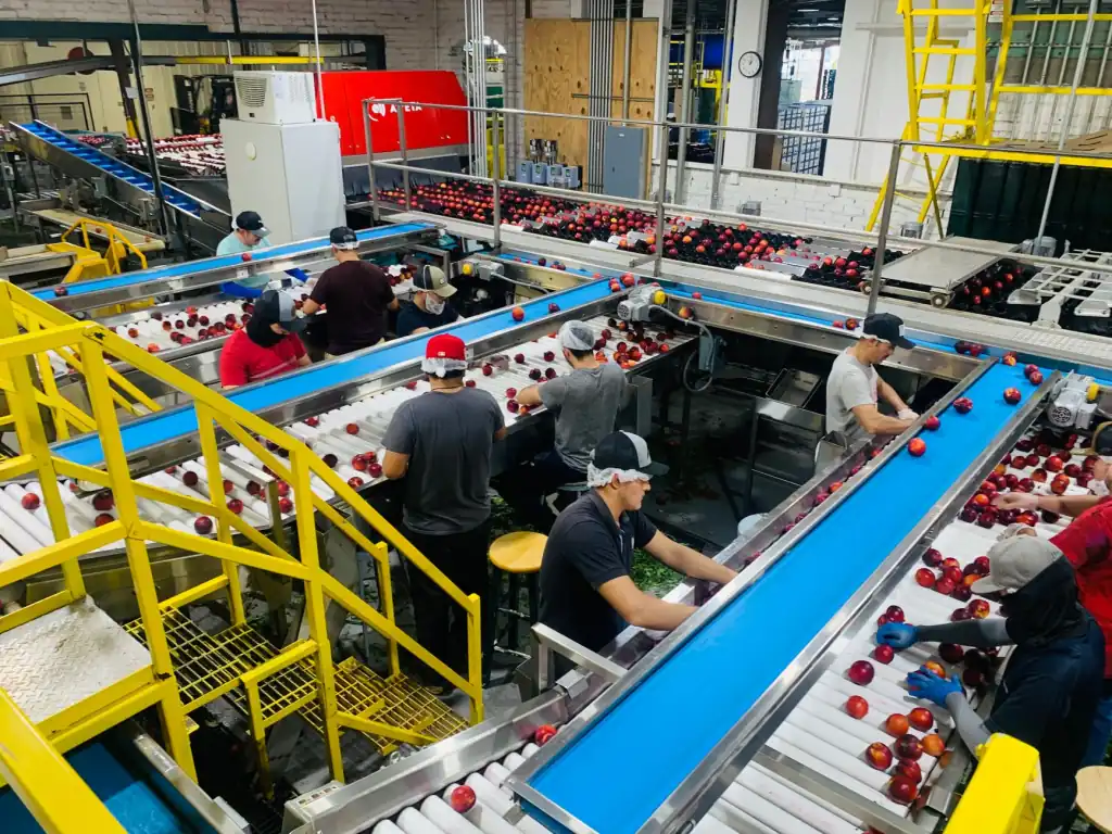 上海箜篌贸易中心日用百货批发产品线全解析：从厨具到家居一站式采购