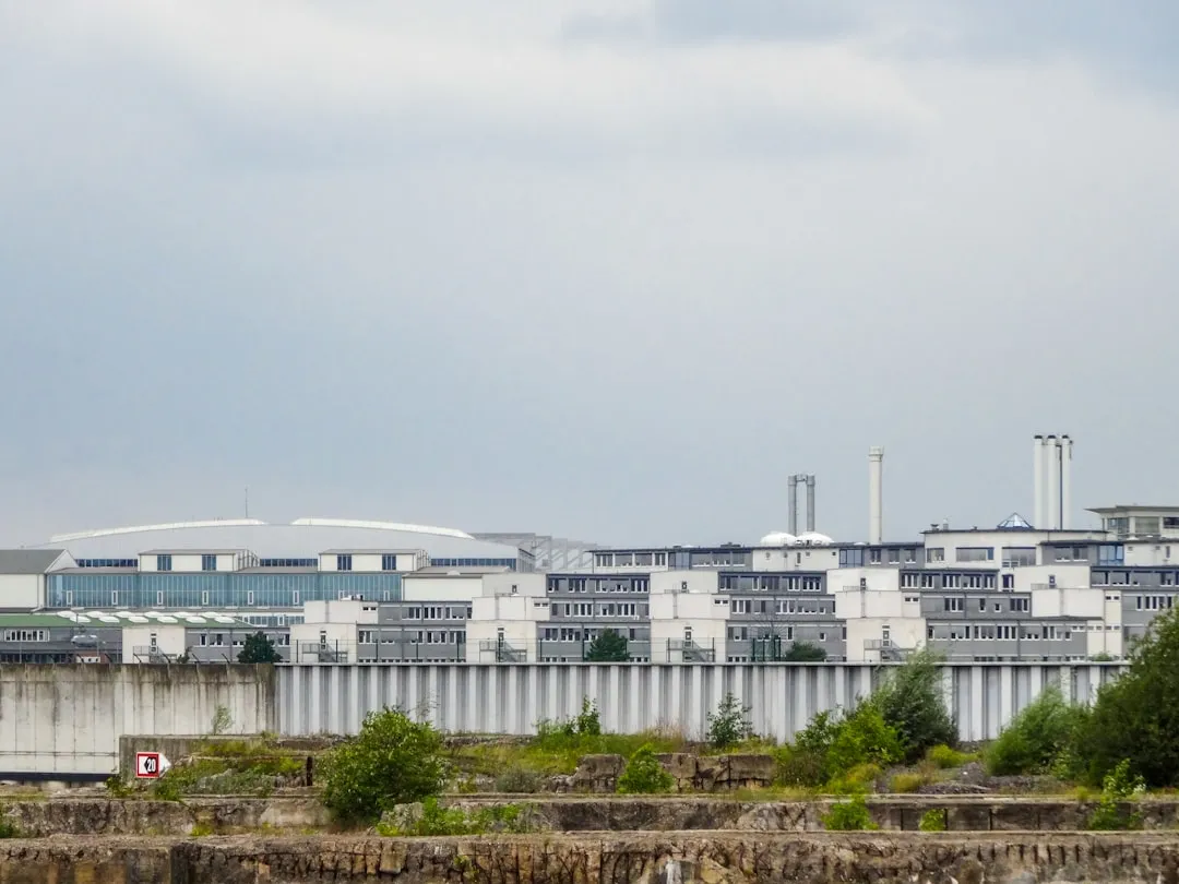 日用百货批发市场趋势：上海箜篌贸易中心家居用品供应链优化方案